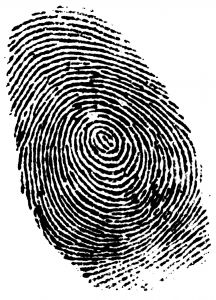 detectives privados tarifas