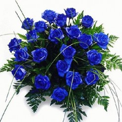 Floristeria Zaragoza