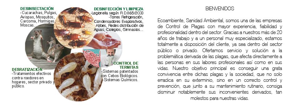 ecoambientesanidadambiental