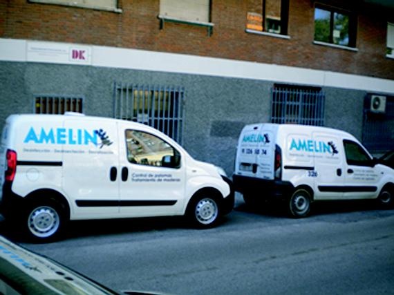 desratizacion en madrid